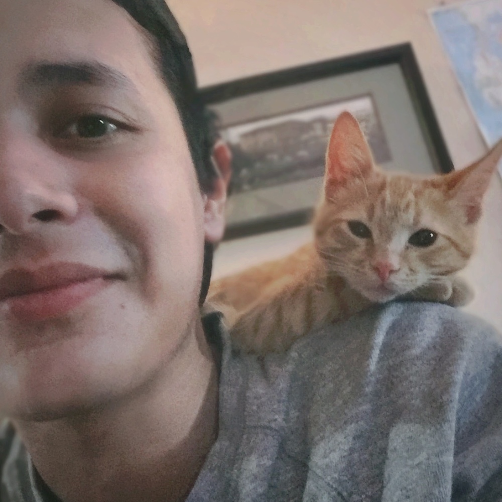 Meet your Posher, Marcel